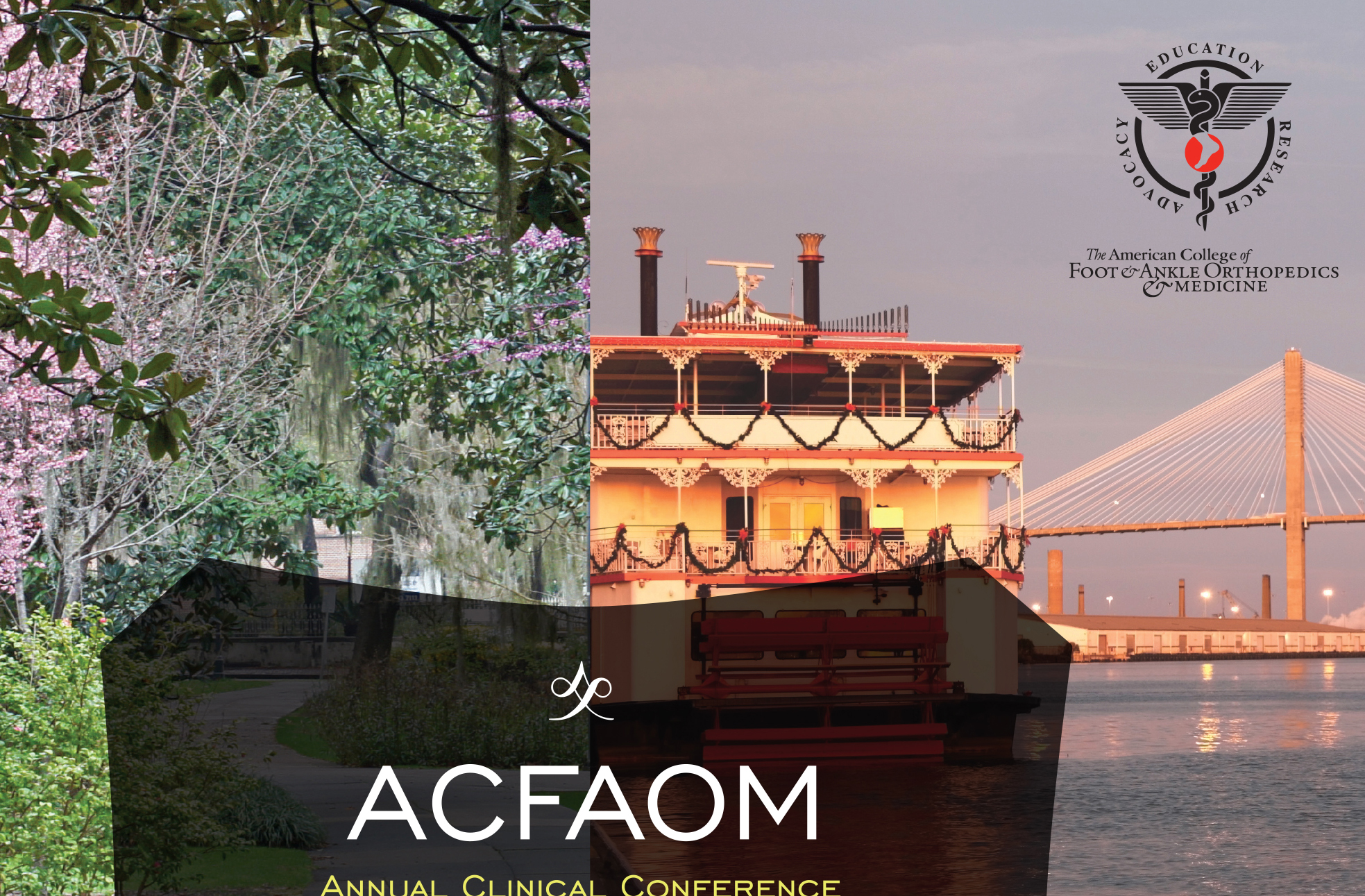 ACFAOM2016 Poster